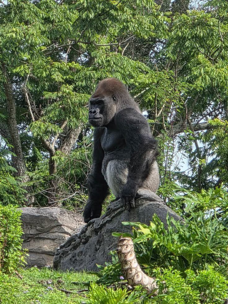 Uganda