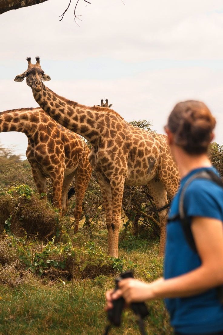 Arusha National Park