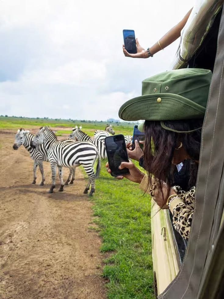 Mikumi National Park