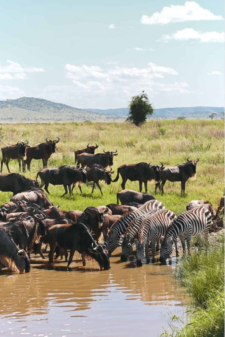 Serengeti National Park